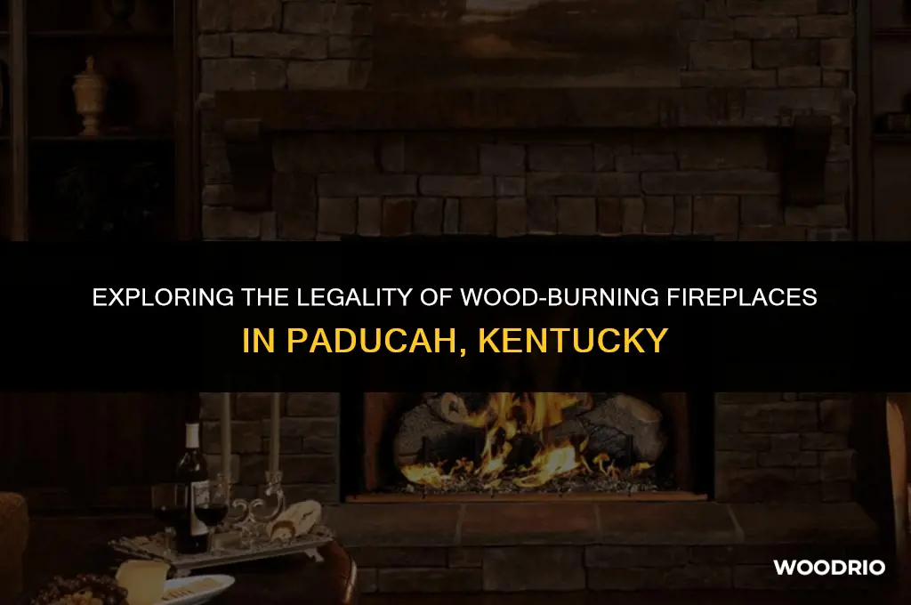 are wood burning fireplaces legal in paducah kentucky
