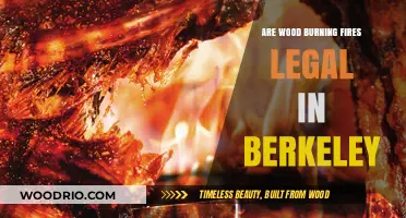 Exploring the Legality of Wood-Burning Fires in Berkeley: A Comprehensive Guide