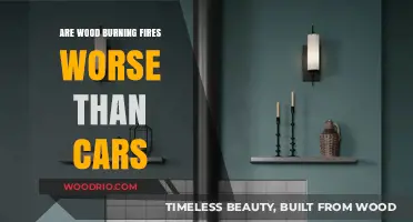 Wood Burning Fires vs. Cars: Which is Worse for the Environment?