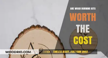 Evaluating the Value: Are Wood Burning Kits a Worthwhile Investment?
