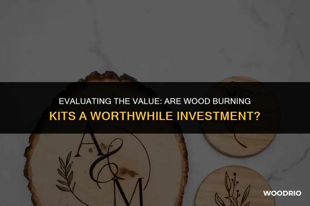 are wood burning kits worth the cost