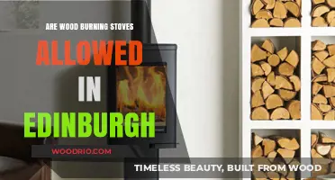 Exploring Edinburgh's Regulations on Wood Burning Stoves