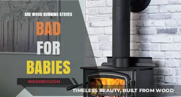Wood Burning Stoves and Baby Safety: What Parents Need to Know