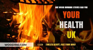The Hidden Health Hazards of Wood Burning Stoves in the UK
