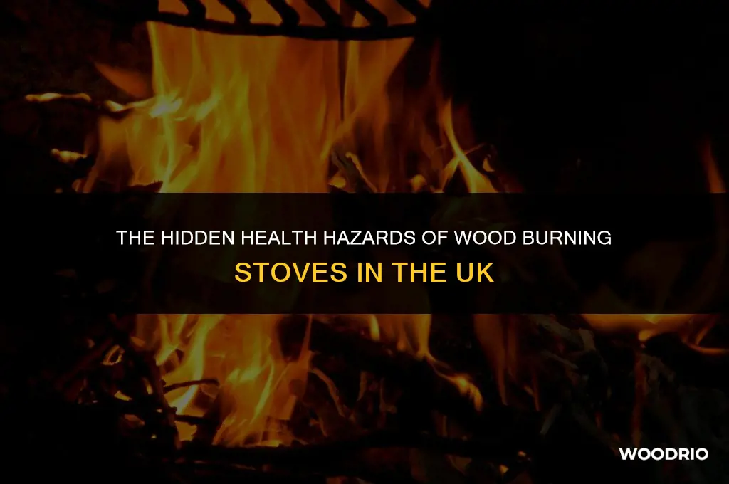 are wood burning stoves bad for your health uk