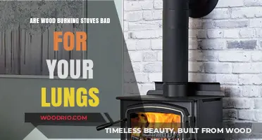 The Impact of Wood Burning Stoves on Lung Health: A Comprehensive Guide