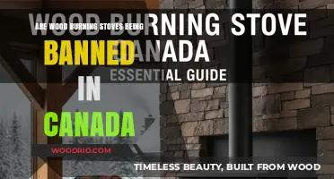 The Future of Wood Burning Stoves in Canada: A Closer Look