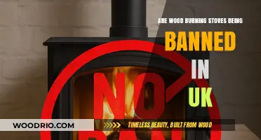 The Future of Wood Burning Stoves in the UK: A Closer Look