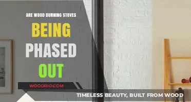 The Future of Wood Burning Stoves: Are They Being Phased Out?
