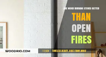 Eco-Friendly Warmth: Wood Burning Stoves vs Open Fires