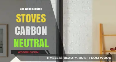 Exploring the Carbon Neutrality of Wood Burning Stoves