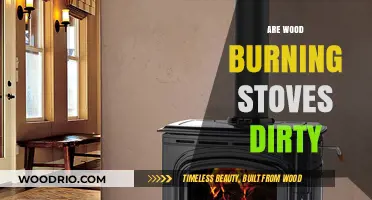 The Truth About Wood Burning Stoves: Clean or Dirty?