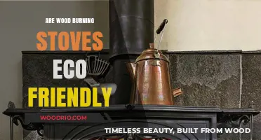 Eco-Friendly Heating: The Truth About Wood Burning Stoves