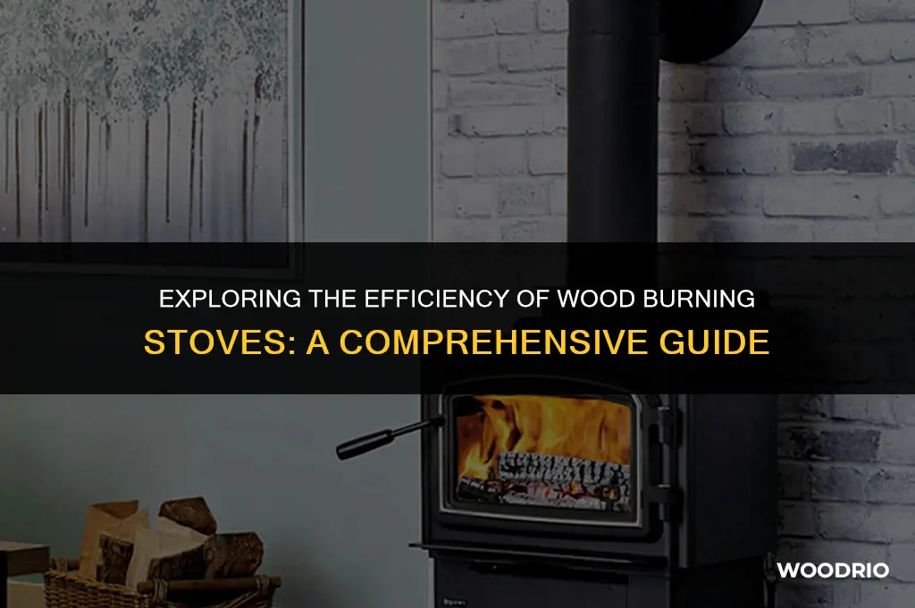 are wood burning stoves efficient
