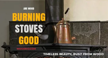Exploring the Pros and Cons of Wood Burning Stoves: A Comprehensive Guide