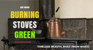 Eco-Friendly Heating: The Green Debate on Wood Burning Stoves