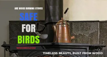 Avian Safety and Wood Burning Stoves: What You Need to Know