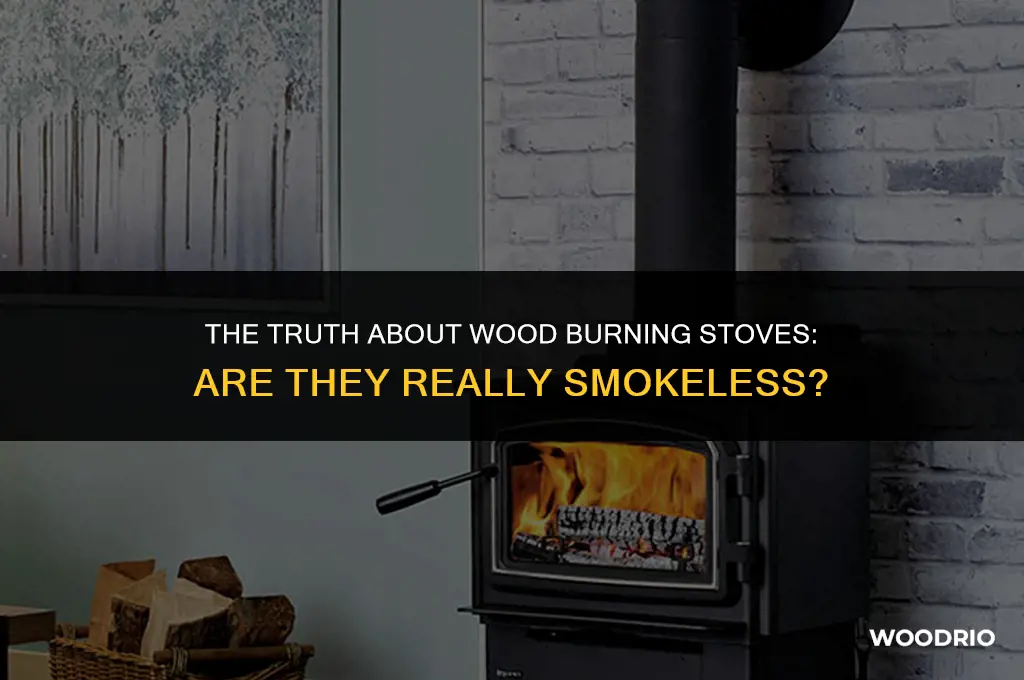 are wood burning stoves smokeless
