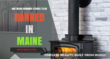 Maine's Wood Burning Stoves: Future Uncertain Amidst Environmental Concerns