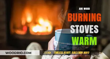 Cozy Comfort: The Warmth of Wood Burning Stoves Explained