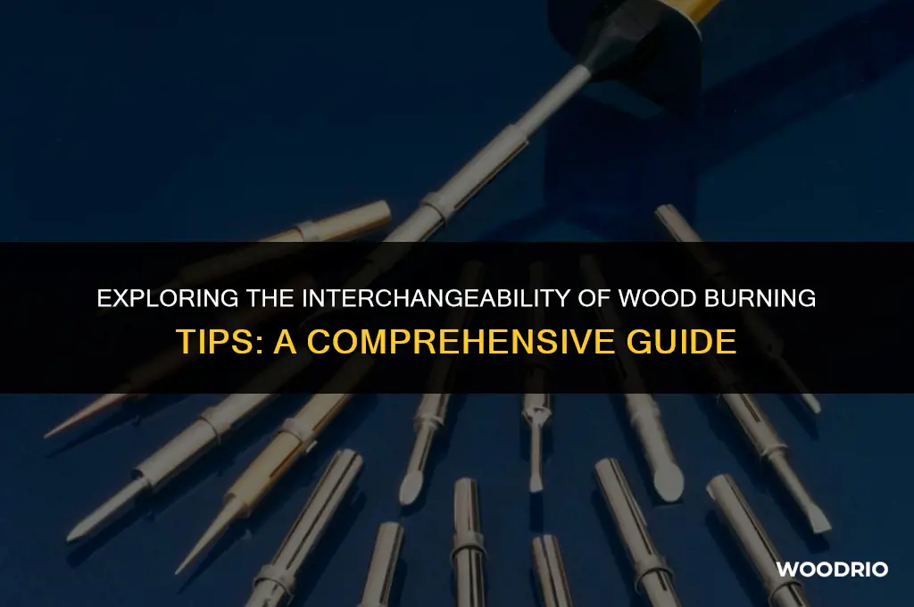 are wood burning tips interchangeable