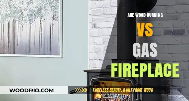 Wood Burning vs Gas Fireplace: Which One Suits Your Home Best?