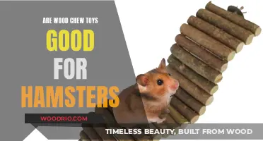 Hamster Dental Health: The Benefits of Wood Chew Toys
