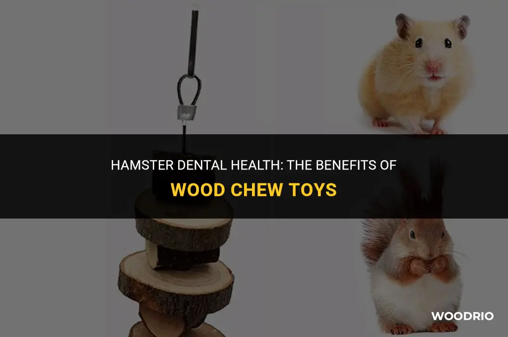 are wood chew toys good for hamsters