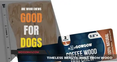 Chewing on Wood: A Safe and Beneficial Treat for Dogs?