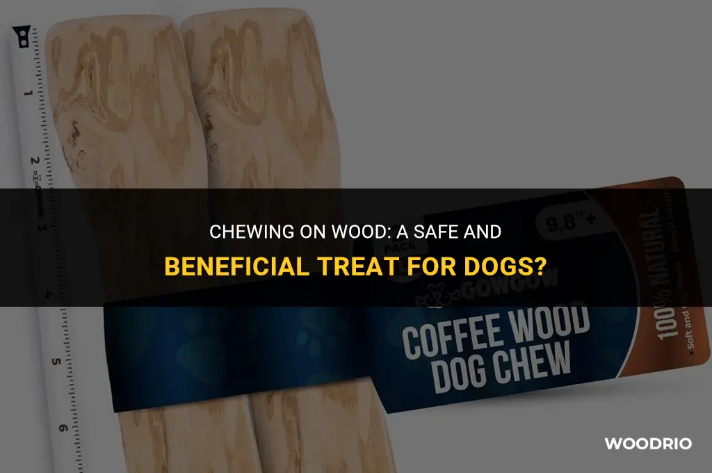 are wood chews good for dogs