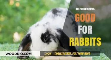 Natural Nibbles: The Benefits of Wood Chews for Rabbits