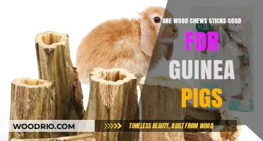 Natural Nibbles: The Benefits of Wood Chew Sticks for Guinea Pigs