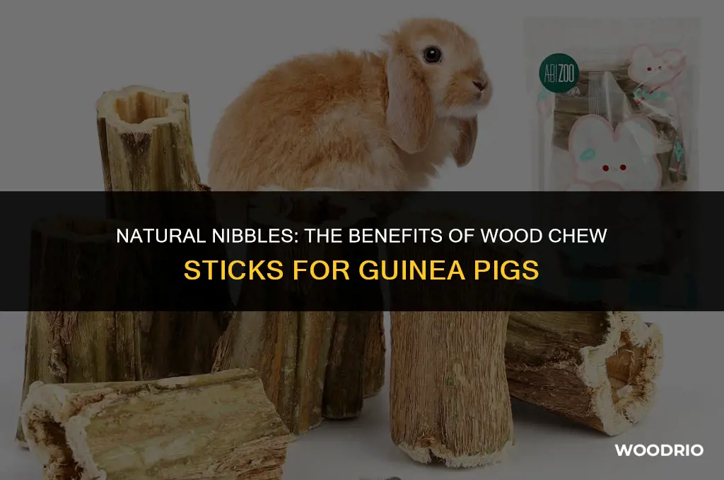 are wood chews sticks good for guinea pigs