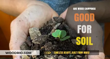 Nurturing Gardens: The Benefits of Wood Chips for Soil Health