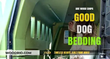 Exploring Wood Chips as a Comfortable and Safe Dog Bedding Option