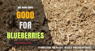 Boosting Blueberry Bliss: The Benefits of Wood Chips in Your Garden