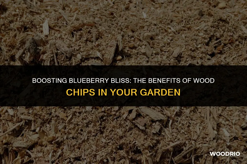 are wood chips good for blueberries