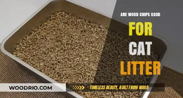 Exploring Wood Chips as an Eco-Friendly Cat Litter Alternative