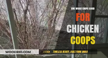 Wood Chips in Chicken Coops: Benefits and Considerations for Poultry Keepers