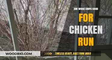 Wood Chips in Chicken Runs: Benefits and Considerations for Poultry Keepers