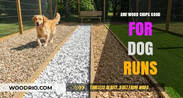 Wood Chips in Dog Runs: Benefits, Drawbacks, and Alternatives