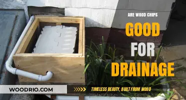 Exploring the Benefits of Wood Chips for Effective Garden Drainage