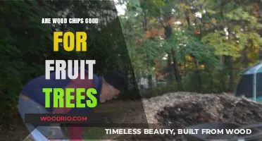 Boosting Fruit Tree Health: The Benefits of Wood Chips