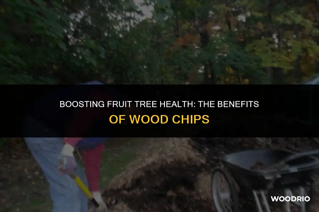 are wood chips good for fruit trees