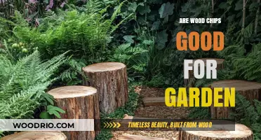 Exploring the Benefits and Drawbacks of Using Wood Chips in Your Garden