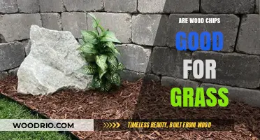 Exploring the Benefits and Drawbacks of Wood Chips for Lawn Health