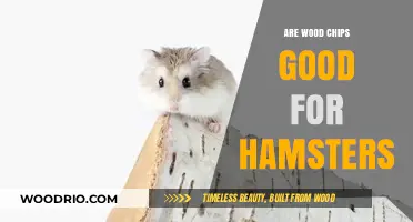 Wood Chips for Hamsters: A Safe and Comfortable Bedding Option?
