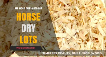 Evaluating Wood Chips as Bedding for Horse Dry Lots: Pros and Cons