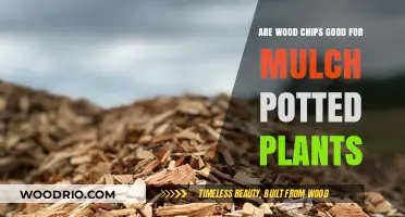 Enhancing Potted Plant Health: The Benefits of Wood Chip Mulch