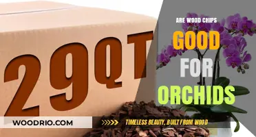 Nurturing Orchids: The Benefits and Uses of Wood Chips